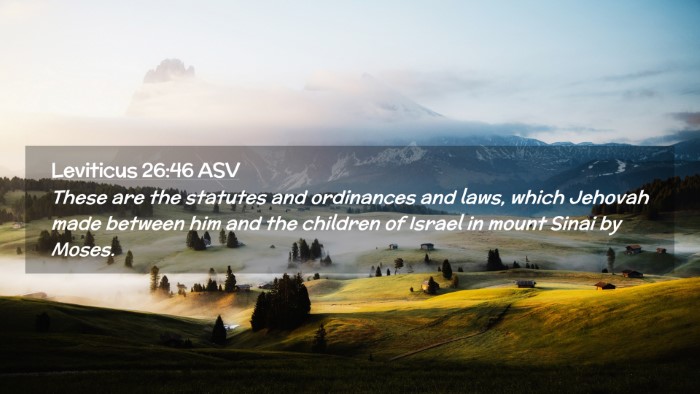 Picture 02 - Leviticus 26:46 ASV Desktop Wallpaper - These are the statutes and ordinances and laws, - Desktop Bible Verse Wallpaper