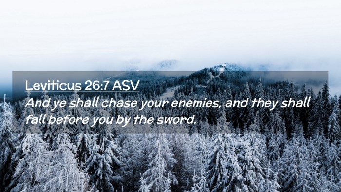 Picture 02 - Leviticus 26:7 ASV Desktop Wallpaper - And ye shall chase your enemies, and they shall - Desktop Bible Verse Wallpaper
