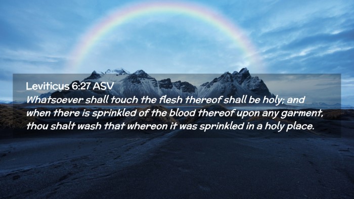 Picture 02 - Leviticus 6:27 ASV Desktop Wallpaper - Whatsoever shall touch the flesh thereof shall be - Desktop Bible Verse Wallpaper