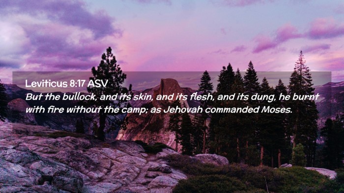 Picture 02 - Leviticus 8:17 ASV Desktop Wallpaper - But the bullock, and its skin, and its flesh, and - Desktop Bible Verse Wallpaper