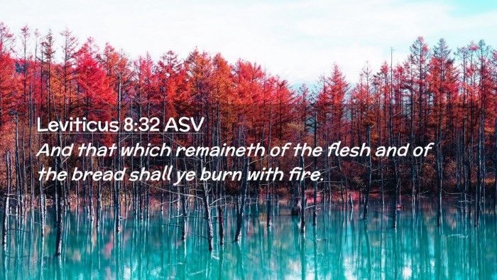 Picture 02 - Leviticus 8:32 ASV Desktop Wallpaper - And that which remaineth of the flesh and of the - Desktop Bible Verse Wallpaper