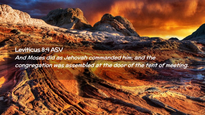 Picture 02 - Leviticus 8:4 ASV Desktop Wallpaper - And Moses did as Jehovah commanded him; and the - Desktop Bible Verse Wallpaper