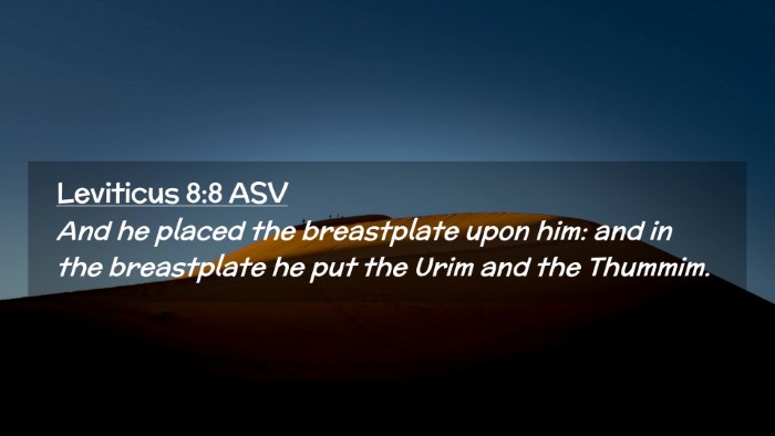 Picture 02 - Leviticus 8:8 ASV Desktop Wallpaper - And he placed the breastplate upon him: and in - Desktop Bible Verse Wallpaper