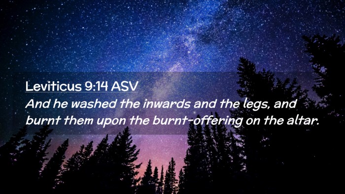 Picture 02 - Leviticus 9:14 ASV Desktop Wallpaper - And he washed the inwards and the legs, and burnt - Desktop Bible Verse Wallpaper