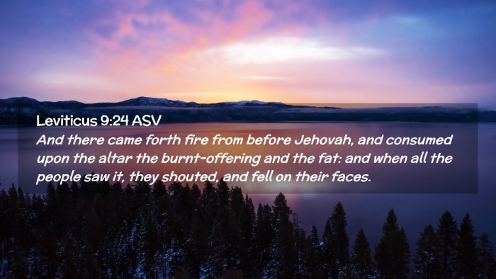 Picture 02 - Leviticus 9:24 ASV Desktop Wallpaper - And there came forth fire from before Jehovah, - Desktop Bible Verse Wallpaper