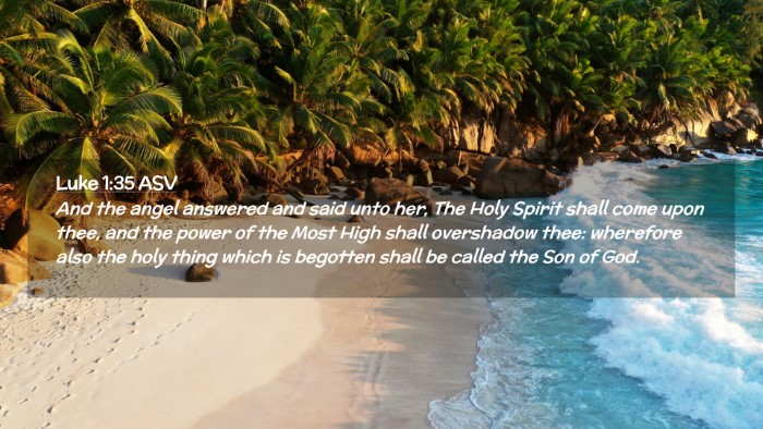 Picture 02 - Luke 1:35 ASV Desktop Wallpaper - And the angel answered and said unto her, The - Desktop Bible Verse Wallpaper