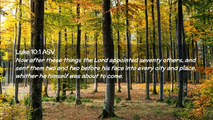 Picture 02 - Luke 10:1 ASV Desktop Wallpaper - Now after these things the Lord appointed seventy - Desktop Bible Verse Wallpaper