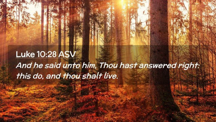 Picture 02 - Luke 10:28 ASV Desktop Wallpaper - And he said unto him, Thou hast answered right: - Desktop Bible Verse Wallpaper