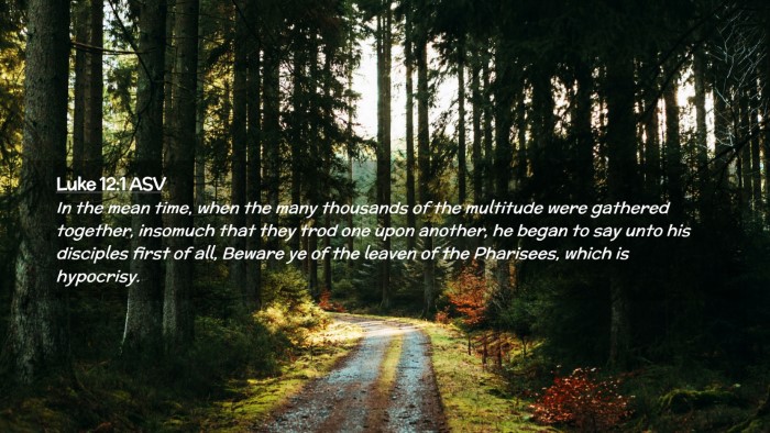 Picture 02 - Luke 12:1 ASV Desktop Wallpaper - In the mean time, when the many thousands of the - Desktop Bible Verse Wallpaper