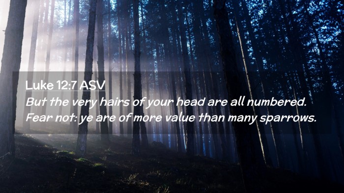 Picture 02 - Luke 12:7 ASV Desktop Wallpaper - But the very hairs of your head are all numbered. - Desktop Bible Verse Wallpaper