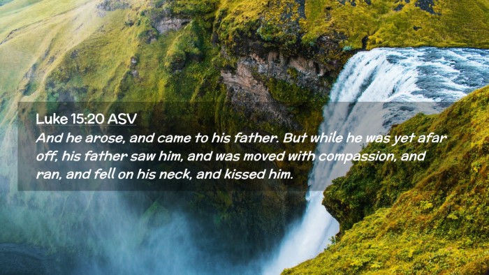 Picture 02 - Luke 15:20 ASV Desktop Wallpaper - And he arose, and came to his father. But while - Desktop Bible Verse Wallpaper
