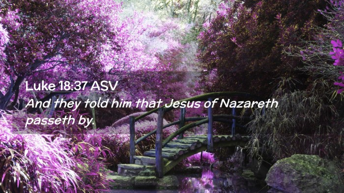 Picture 02 - Luke 18:37 ASV Desktop Wallpaper - And they told him that Jesus of Nazareth passeth - Desktop Bible Verse Wallpaper