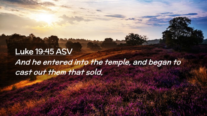 Picture 02 - Luke 19:45 ASV Desktop Wallpaper - And he entered into the temple, and began to cast - Desktop Bible Verse Wallpaper