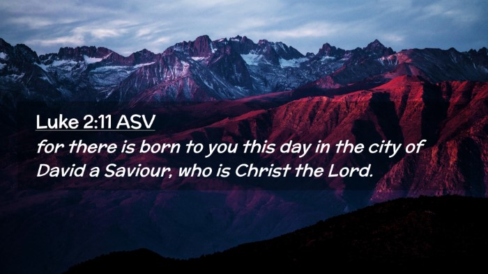 Picture 02 - Luke 2:11 ASV Desktop Wallpaper - for there is born to you this day in the city of - Desktop Bible Verse Wallpaper