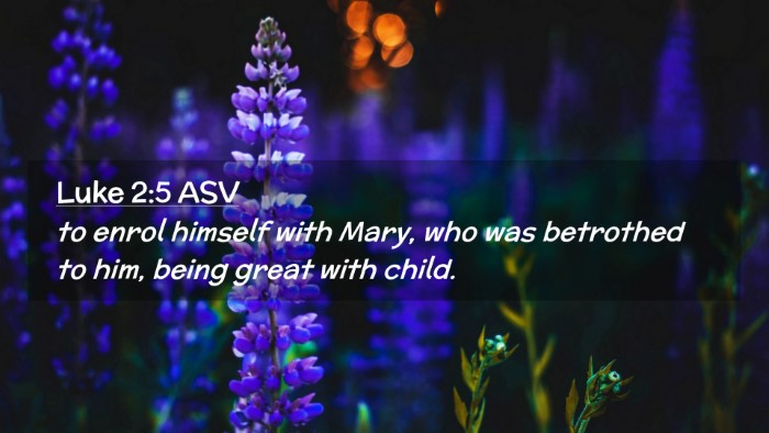 Picture 02 - Luke 2:5 ASV Desktop Wallpaper - to enrol himself with Mary, who was betrothed to - Desktop Bible Verse Wallpaper