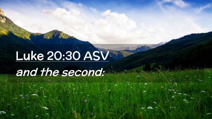 Picture 02 - Luke 20:30 ASV Desktop Wallpaper - and the - Desktop Bible Verse Wallpaper
