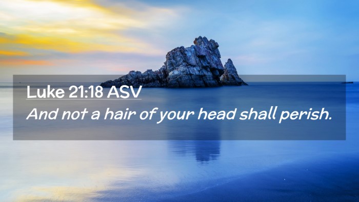 Picture 02 - Luke 21:18 ASV Desktop Wallpaper - And not a hair of your head shall - Desktop Bible Verse Wallpaper