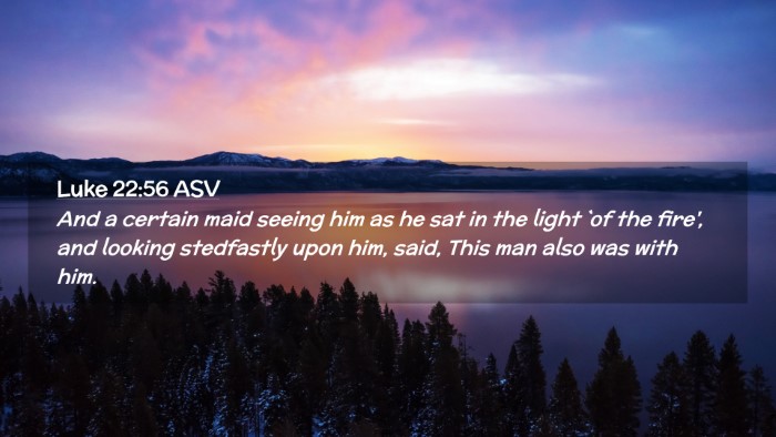 Picture 02 - Luke 22:56 ASV Desktop Wallpaper - And a certain maid seeing him as he sat in the - Desktop Bible Verse Wallpaper
