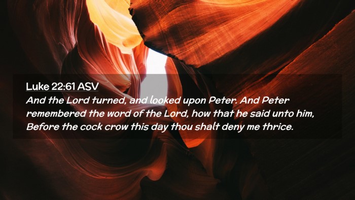 Picture 02 - Luke 22:61 ASV Desktop Wallpaper - And the Lord turned, and looked upon Peter. And - Desktop Bible Verse Wallpaper