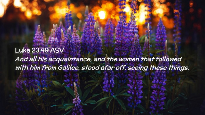 Picture 02 - Luke 23:49 ASV Desktop Wallpaper - And all his acquaintance, and the women that - Desktop Bible Verse Wallpaper