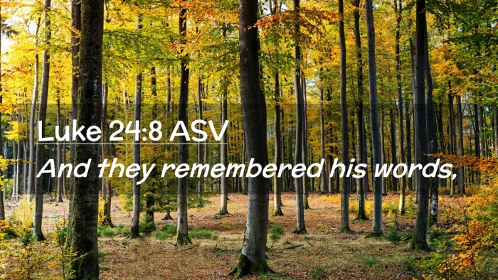 Picture 02 - Luke 24:8 ASV Desktop Wallpaper - And they remembered his - Desktop Bible Verse Wallpaper