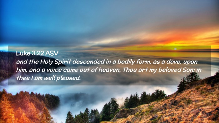 Picture 02 - Luke 3:22 ASV Desktop Wallpaper - and the Holy Spirit descended in a bodily form, - Desktop Bible Verse Wallpaper