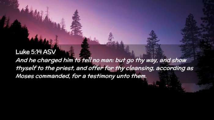 Picture 02 - Luke 5:14 ASV Desktop Wallpaper - And he charged him to tell no man: but go thy - Desktop Bible Verse Wallpaper