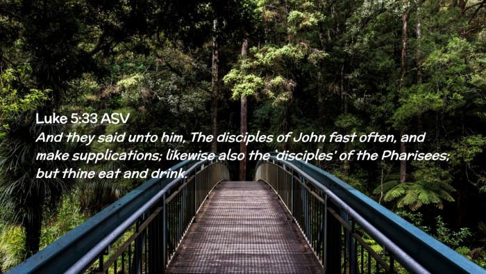 Picture 02 - Luke 5:33 ASV Desktop Wallpaper - And they said unto him, The disciples of John - Desktop Bible Verse Wallpaper