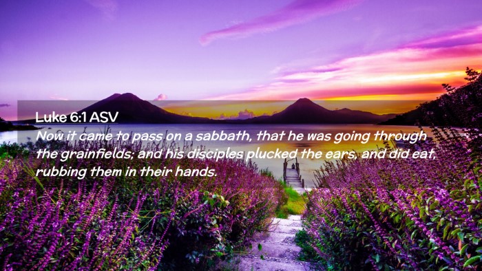 Picture 02 - Luke 6:1 ASV Desktop Wallpaper - Now it came to pass on a sabbath, that he was - Desktop Bible Verse Wallpaper