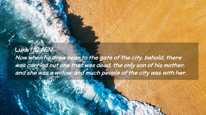 Picture 02 - Luke 7:12 ASV Desktop Wallpaper - Now when he drew near to the gate of the city, - Desktop Bible Verse Wallpaper
