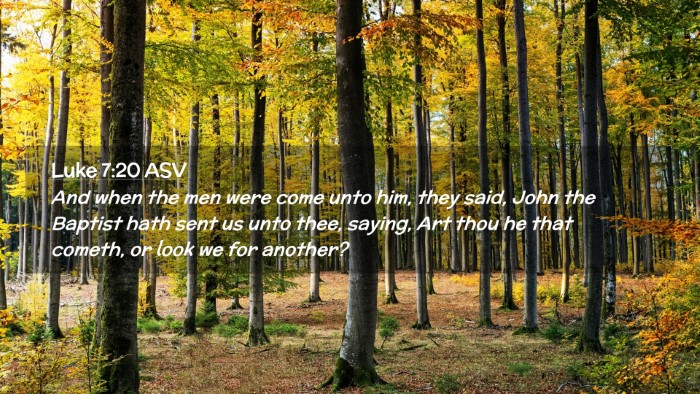 Picture 02 - Luke 7:20 ASV Desktop Wallpaper - And when the men were come unto him, they said, - Desktop Bible Verse Wallpaper