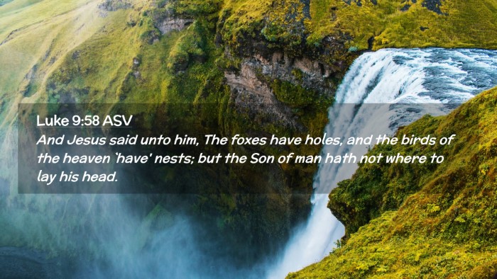 Picture 02 - Luke 9:58 ASV Desktop Wallpaper - And Jesus said unto him, The foxes have holes, - Desktop Bible Verse Wallpaper