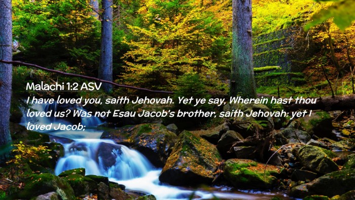 Picture 02 - Malachi 1:2 ASV Desktop Wallpaper - I have loved you, saith Jehovah. Yet ye say, - Desktop Bible Verse Wallpaper