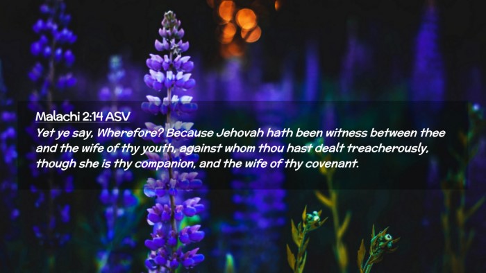 Picture 02 - Malachi 2:14 ASV Desktop Wallpaper - Yet ye say, Wherefore? Because Jehovah hath been - Desktop Bible Verse Wallpaper