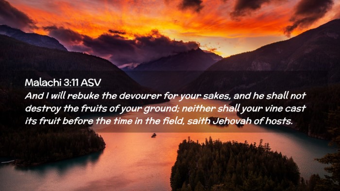 Picture 02 - Malachi 3:11 ASV Desktop Wallpaper - And I will rebuke the devourer for your sakes, - Desktop Bible Verse Wallpaper