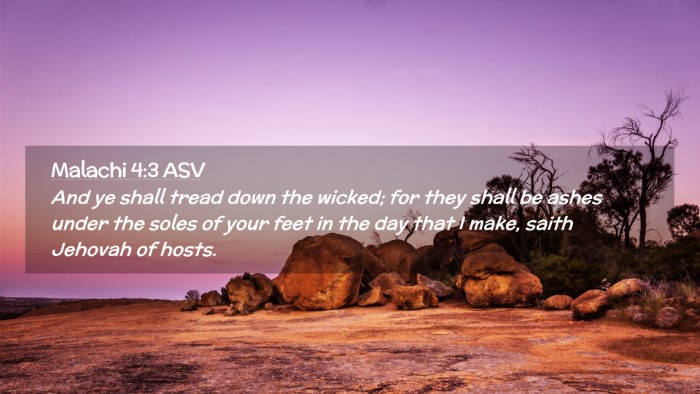 Picture 02 - Malachi 4:3 ASV Desktop Wallpaper - And ye shall tread down the wicked; for they - Desktop Bible Verse Wallpaper