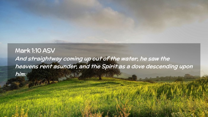 Picture 02 - Mark 1:10 ASV Desktop Wallpaper - And straightway coming up out of the water, he - Desktop Bible Verse Wallpaper