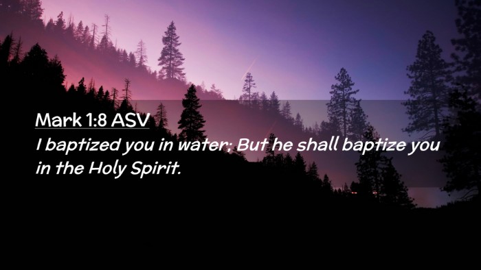 Picture 02 - Mark 1:8 ASV Desktop Wallpaper - I baptized you in water; But he shall baptize you - Desktop Bible Verse Wallpaper