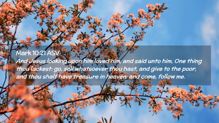 Picture 02 - Mark 10:21 ASV Desktop Wallpaper - And Jesus looking upon him loved him, and said - Desktop Bible Verse Wallpaper