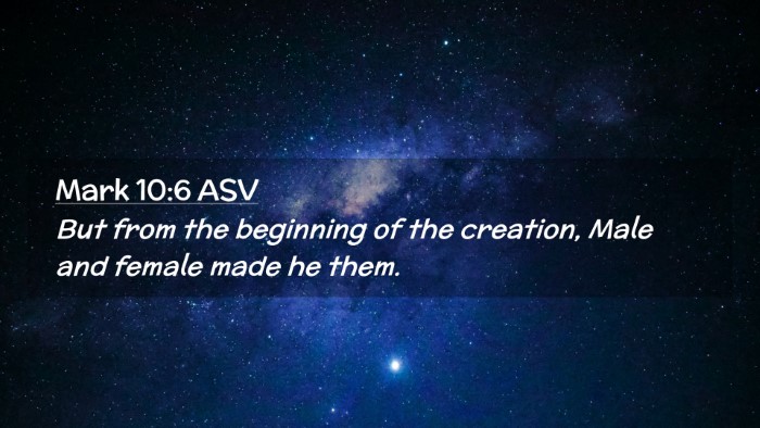Picture 02 - Mark 10:6 ASV Desktop Wallpaper - But from the beginning of the creation, Male and - Desktop Bible Verse Wallpaper