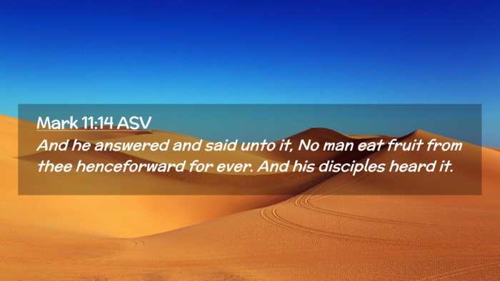 Picture 02 - Mark 11:14 ASV Desktop Wallpaper - And he answered and said unto it, No man eat - Desktop Bible Verse Wallpaper