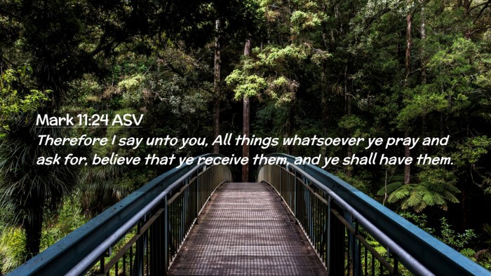 Picture 02 - Mark 11:24 ASV Desktop Wallpaper - Therefore I say unto you, All things whatsoever - Desktop Bible Verse Wallpaper