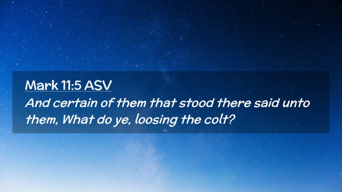 Picture 02 - Mark 11:5 ASV Desktop Wallpaper - And certain of them that stood there said unto - Desktop Bible Verse Wallpaper