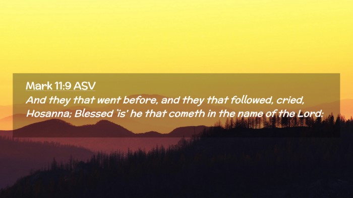 Picture 02 - Mark 11:9 ASV Desktop Wallpaper - And they that went before, and they that - Desktop Bible Verse Wallpaper