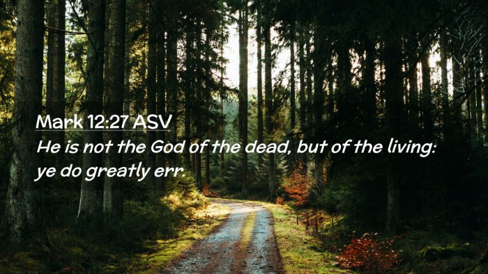 Picture 02 - Mark 12:27 ASV Desktop Wallpaper - He is not the God of the dead, but of the living: - Desktop Bible Verse Wallpaper
