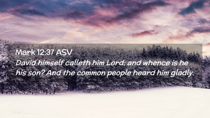 Picture 02 - Mark 12:37 ASV Desktop Wallpaper - David himself calleth him Lord; and whence is he - Desktop Bible Verse Wallpaper