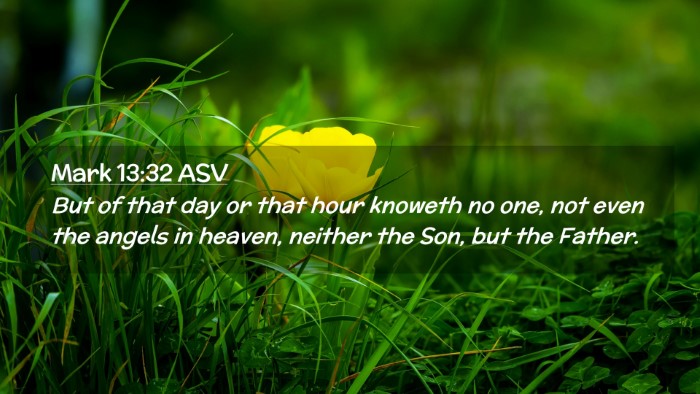 Picture 02 - Mark 13:32 ASV Desktop Wallpaper - But of that day or that hour knoweth no one, not - Desktop Bible Verse Wallpaper