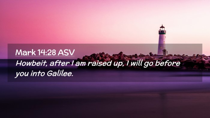 Picture 02 - Mark 14:28 ASV Desktop Wallpaper - Howbeit, after I am raised up, I will go before - Desktop Bible Verse Wallpaper