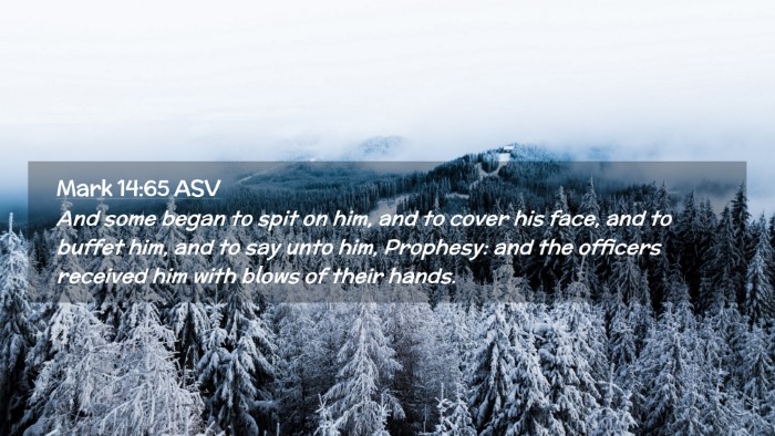 Picture 02 - Mark 14:65 ASV Desktop Wallpaper - And some began to spit on him, and to cover his - Desktop Bible Verse Wallpaper
