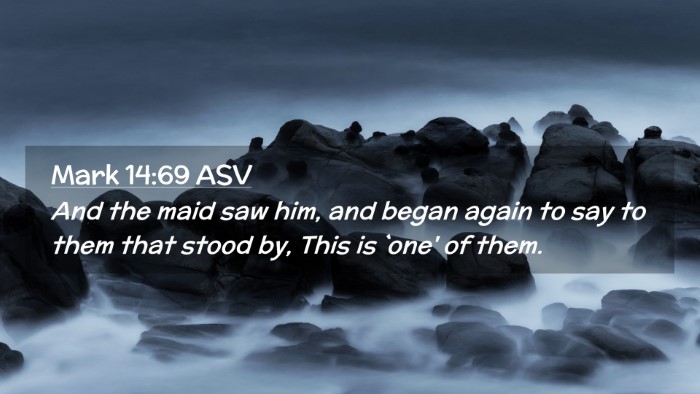 Picture 02 - Mark 14:69 ASV Desktop Wallpaper - And the maid saw him, and began again to say to - Desktop Bible Verse Wallpaper